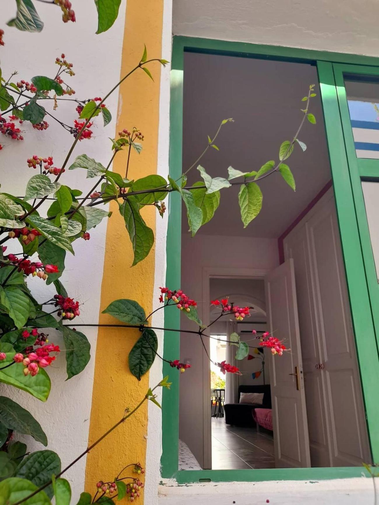 Morning Sun Apartment 229 プエルト・デ・モガン エクステリア 写真
